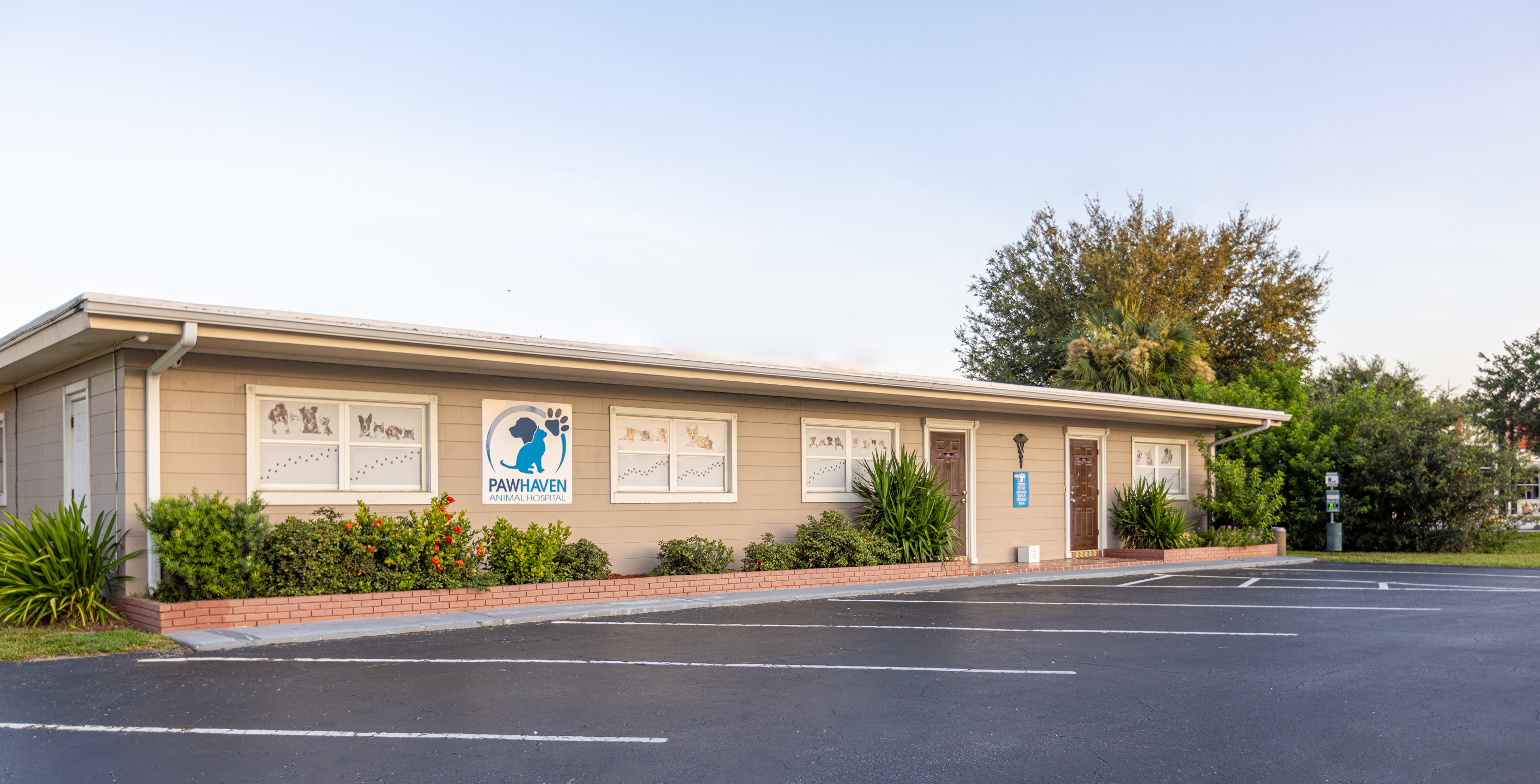 Paw Haven Animal Hospital Winter Haven