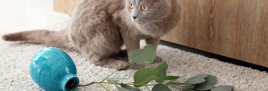 Gray cat near a knocked-over vase and plant stems