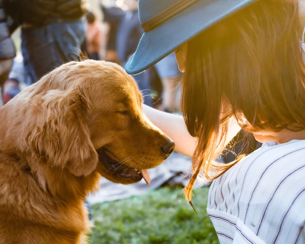 Person gently petting a golden retriever outdoors