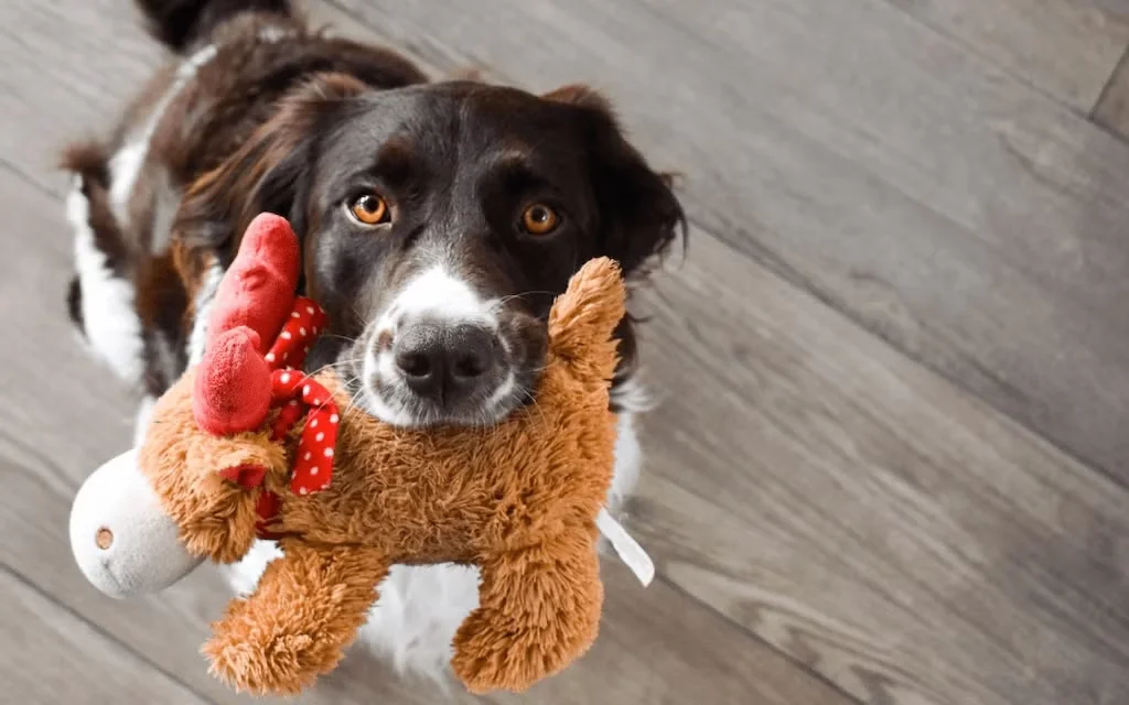 Dog holding a reindeer toy in its mouth