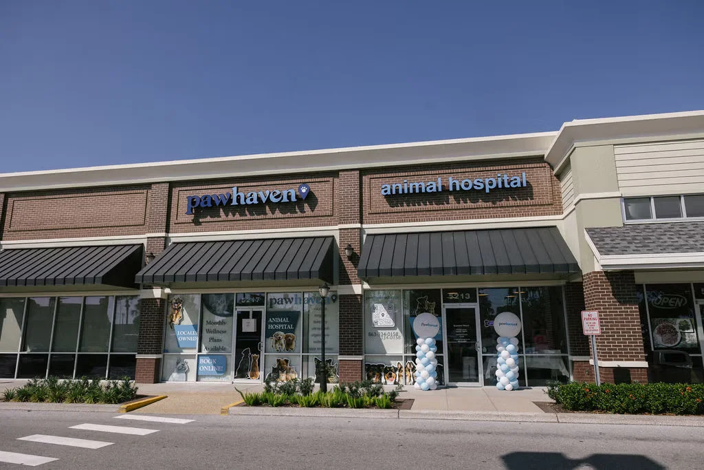 Paw Haven Animal Hospital storefront exterior
