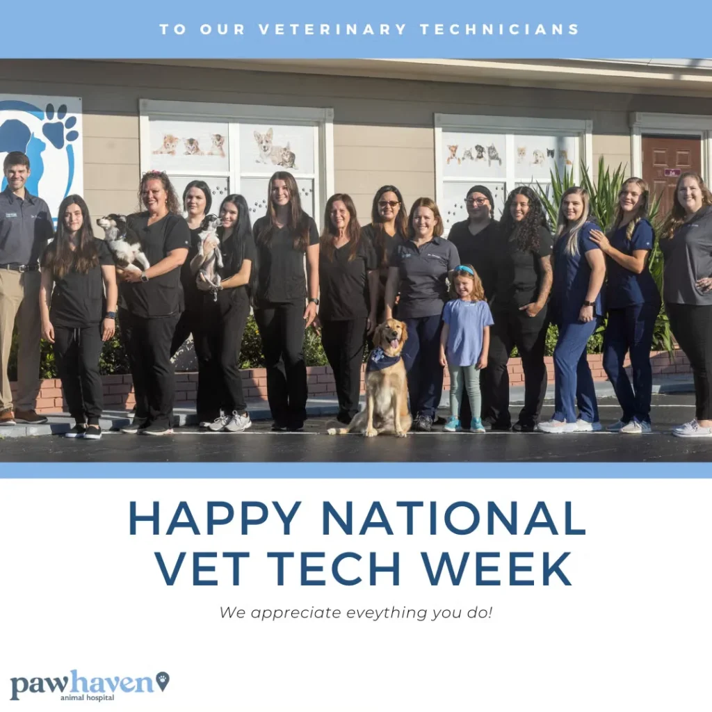 Paw Haven team standing outside with dog
