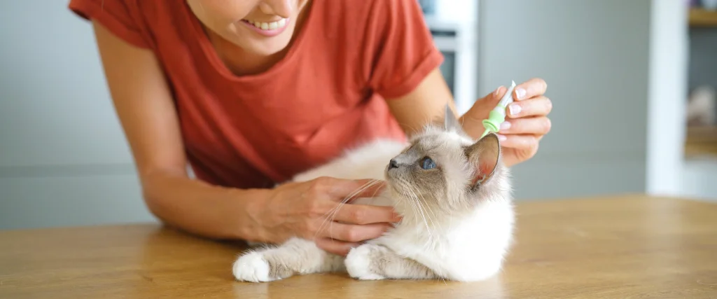 Woman injecting a cat
