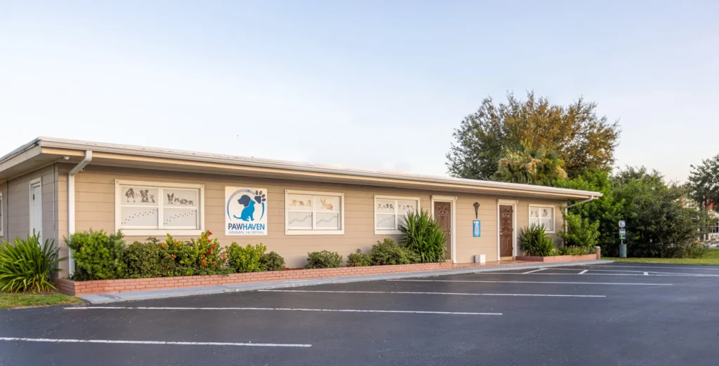 Exterior view of Paw Haven Animal Hospital building and parking area