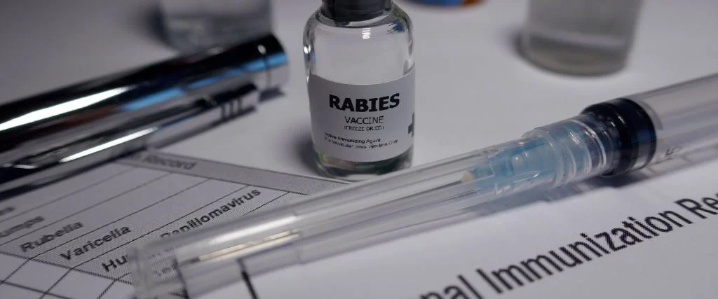 Rabies vaccine vial with syringe on an immunization record